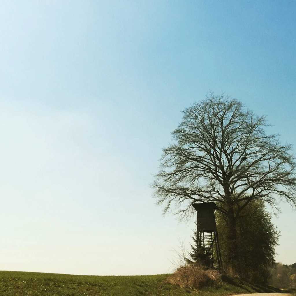 Spaziergang in Margertshausen und ein Hochsitz taucht auf | Johannes Ulrich Gehrke