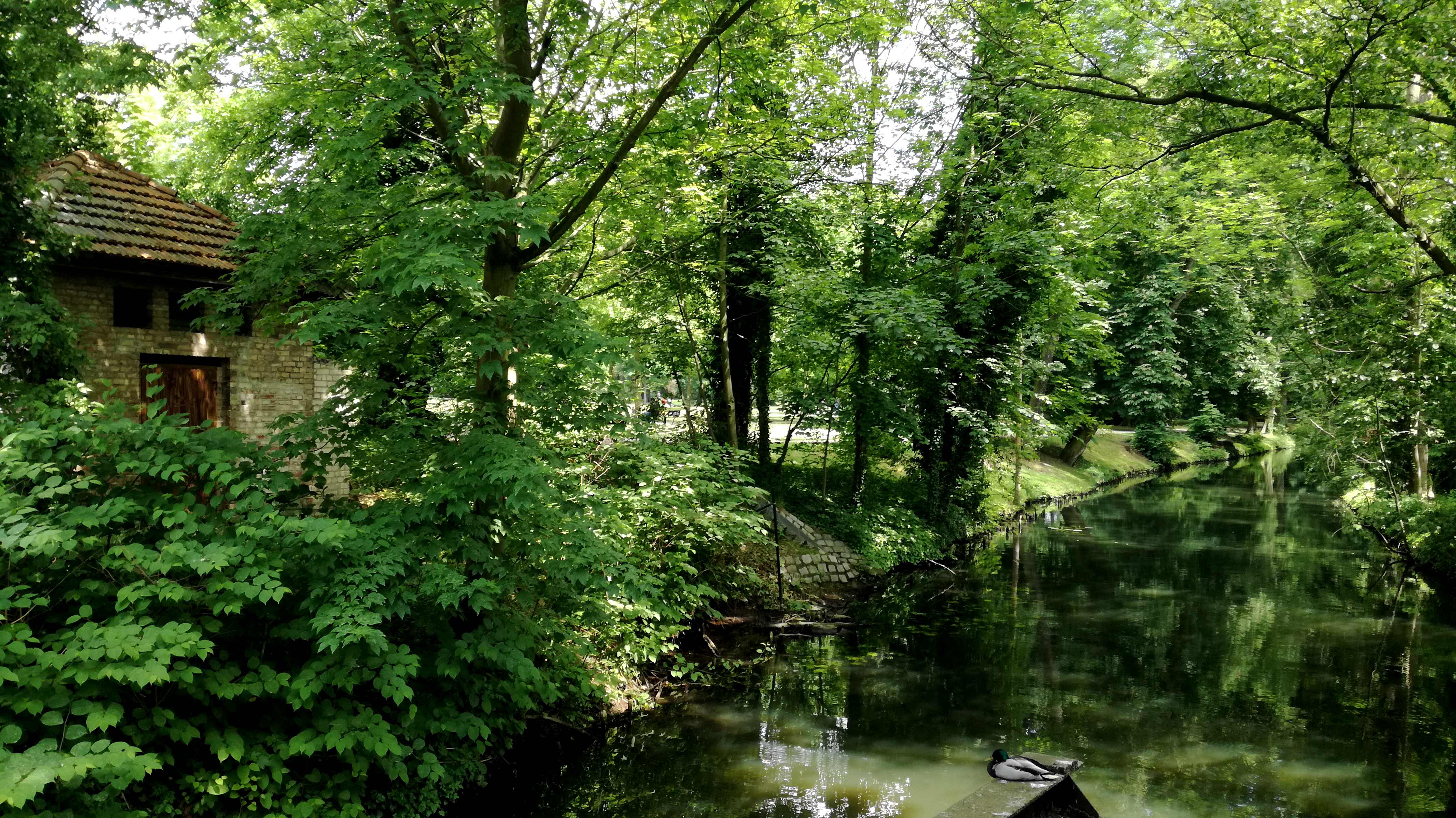 Eine eigene Welt: Kanalblick in den Königs Wusterhausener Schloßpark | Johannes Ulrich Gehrke