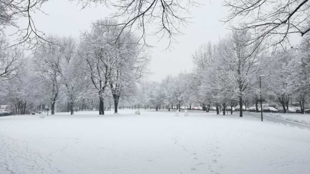 Oberhofplatz im Winter | Johannes Ulrich Gehrke