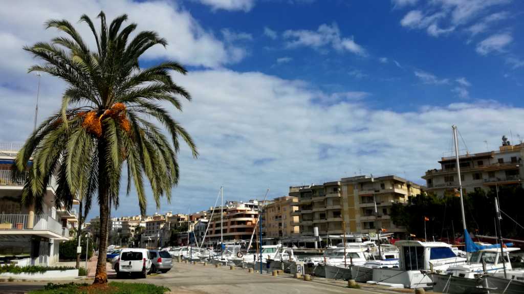 Blick aus einem Café von Port de Christo | Johannes Ulrich Gehrke